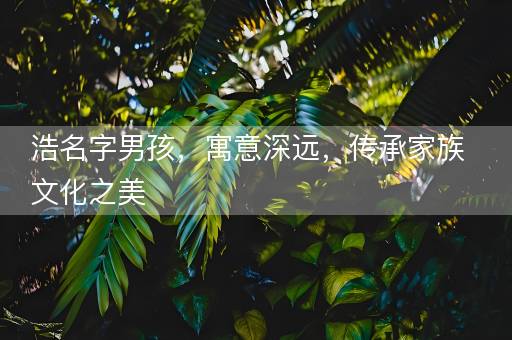 浩名字男孩，寓意深远，传承家族文化之美