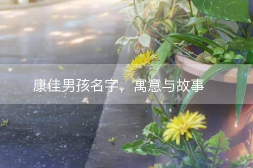 康佳男孩名字，寓意与故事