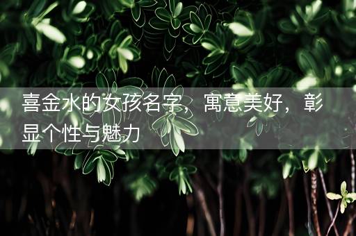 喜金水的女孩名字，寓意美好，彰显个性与魅力