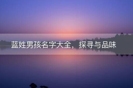蓝姓男孩名字大全，探寻与品味