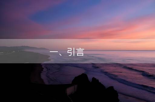 一、引言