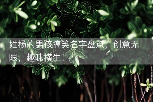 姓杨的男孩搞笑名字盘点，创意无限，趣味横生！