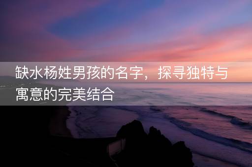 缺水杨姓男孩的名字，探寻独特与寓意的完美结合