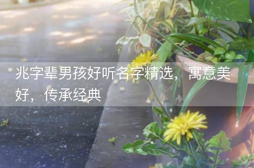 兆字辈男孩好听名字精选，寓意美好，传承经典