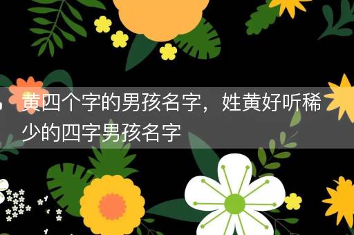 黄四个字的男孩名字，姓黄好听稀少的四字男孩名字