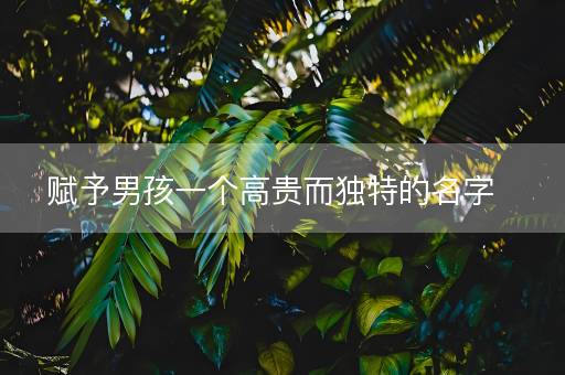 赋予男孩一个高贵而独特的名字