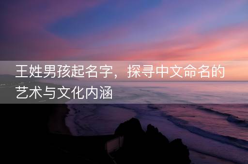 王姓男孩起名字，探寻中文命名的艺术与文化内涵