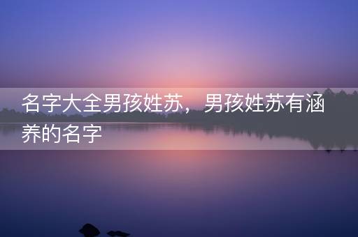 名字大全男孩姓苏，男孩姓苏有涵养的名字