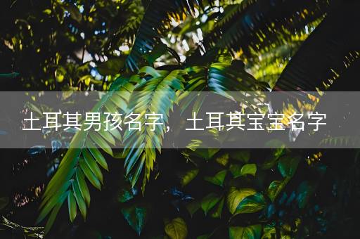 土耳其男孩名字，土耳其宝宝名字