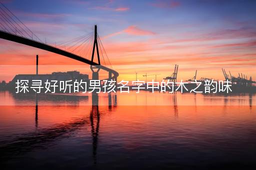 探寻好听的男孩名字中的木之韵味