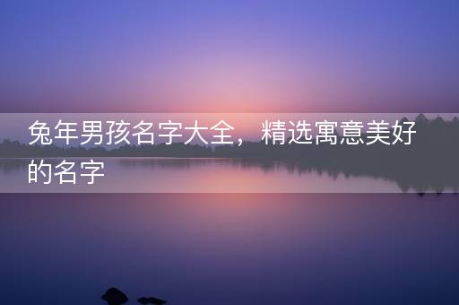 兔年男孩名字大全，精选寓意美好的名字