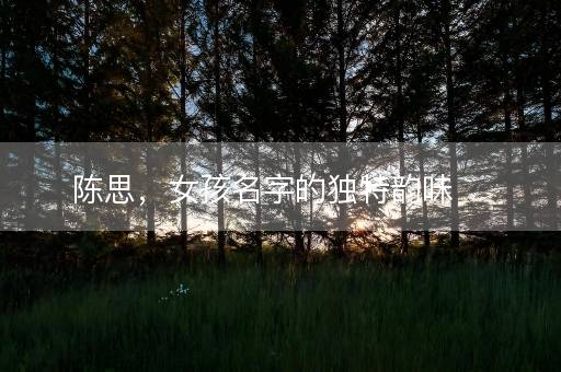 陈思，女孩名字的独特韵味