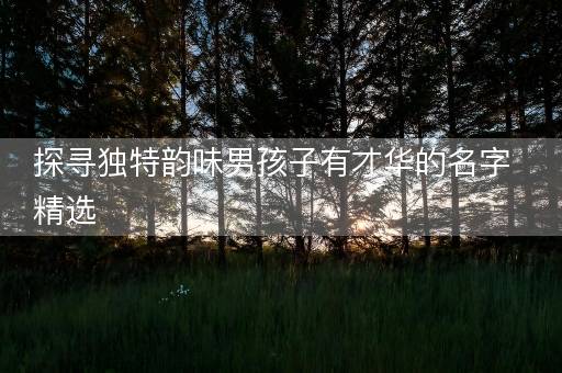 探寻独特韵味男孩子有才华的名字精选