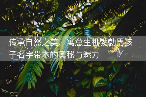 传承自然之美，寓意生机勃勃男孩子名字带木的奥秘与魅力