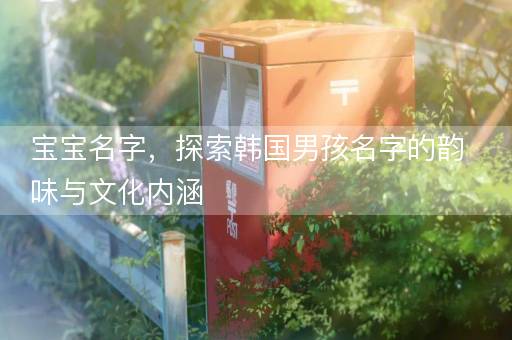宝宝名字，探索韩国男孩名字的韵味与文化内涵