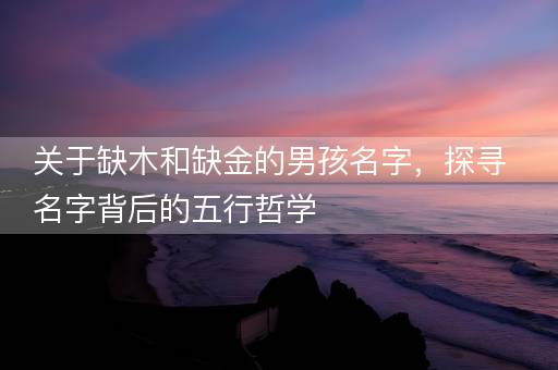 关于缺木和缺金的男孩名字，探寻名字背后的五行哲学