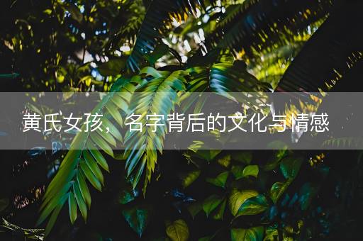 黄氏女孩，名字背后的文化与情感