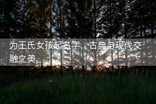 为王氏女孩起名字，古典与现代交融之美