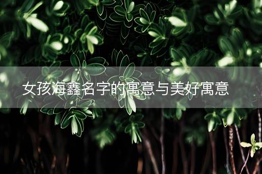 女孩海鑫名字的寓意与美好寓意