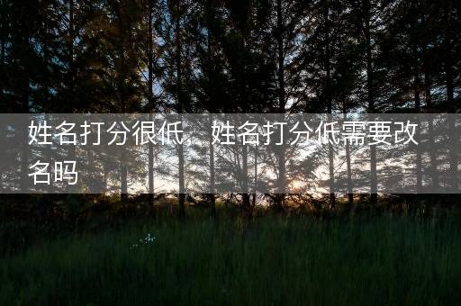 姓名打分很低，姓名打分低需要改名吗