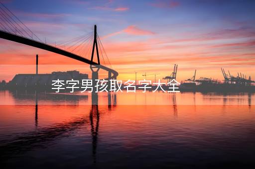 李字男孩取名字大全