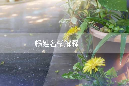 畅姓名学解释