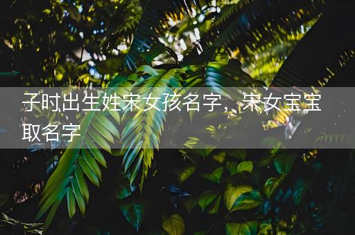 子时出生姓宋女孩名字，宋女宝宝取名字