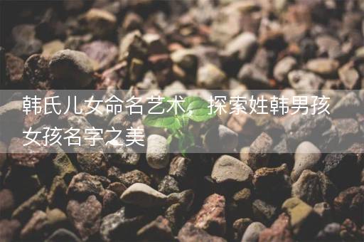 韩氏儿女命名艺术，探索姓韩男孩女孩名字之美