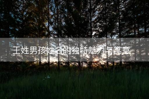 王姓男孩姓名的独特魅力与寓意