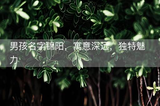 男孩名字锦阳，寓意深远，独特魅力