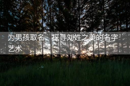 为男孩取名，探寻刘姓之美的名字艺术