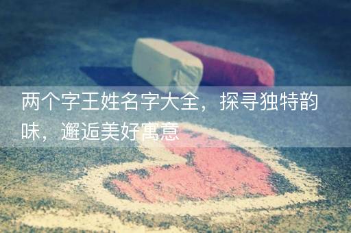 两个字王姓名字大全，探寻独特韵味，邂逅美好寓意
