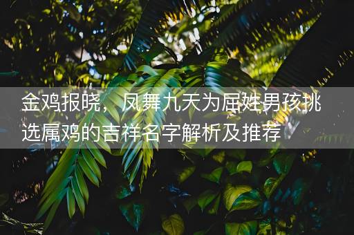 金鸡报晓，凤舞九天为屈姓男孩挑选属鸡的吉祥名字解析及推荐