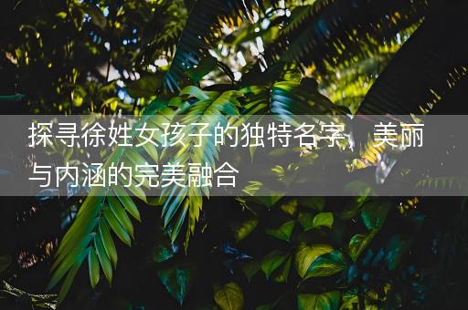 探寻徐姓女孩子的独特名字，美丽与内涵的完美融合