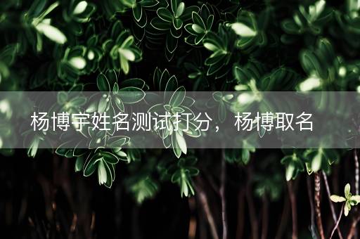 杨博宇姓名测试打分，杨博取名