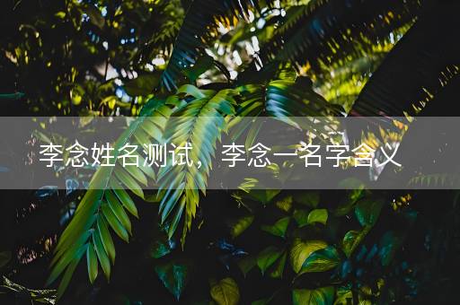 李念姓名测试，李念一名字含义