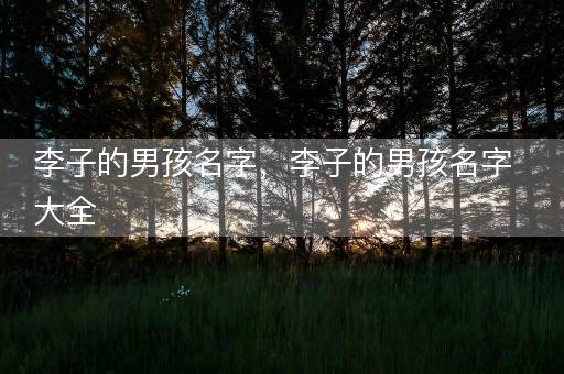 李子的男孩名字，李子的男孩名字大全