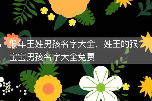 猴年王姓男孩名字大全，姓王的猴宝宝男孩名字大全免费
