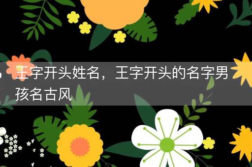 王字开头姓名，王字开头的名字男孩名古风