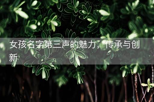 女孩名字第三声的魅力，传承与创新