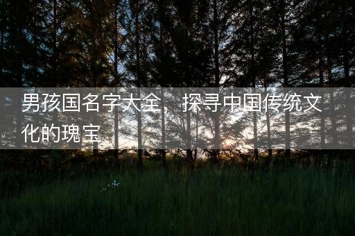 男孩国名字大全，探寻中国传统文化的瑰宝