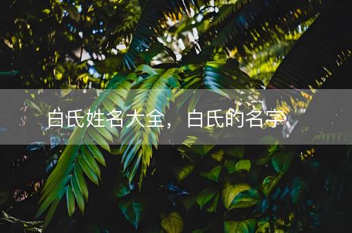白氏姓名大全，白氏的名字