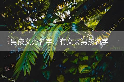 男孩文秀名字，有文采男孩名字