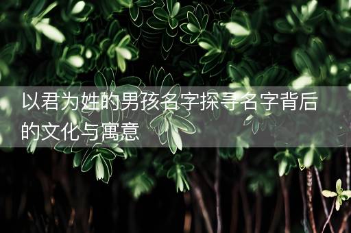 以君为姓的男孩名字探寻名字背后的文化与寓意