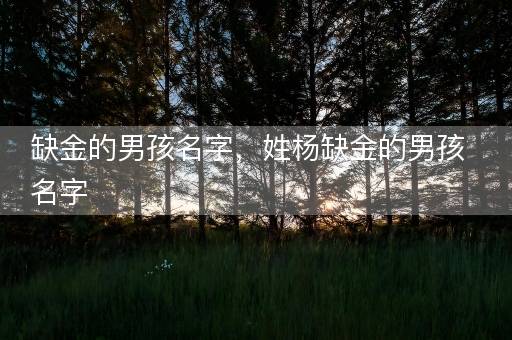 缺金的男孩名字，姓杨缺金的男孩名字