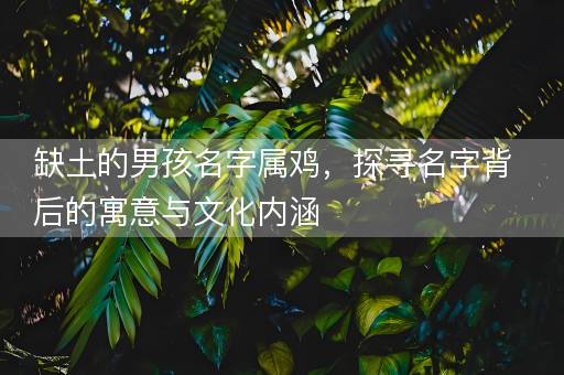 缺土的男孩名字属鸡，探寻名字背后的寓意与文化内涵