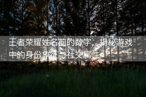 王者荣耀姓名前的数字，揭秘游戏中的身份象征与社交属性