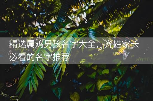 精选属鸡男孩名字大全，齐姓家长必看的名字推荐