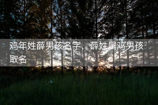 鸡年姓薛男孩名字，薛姓属鸡男孩取名