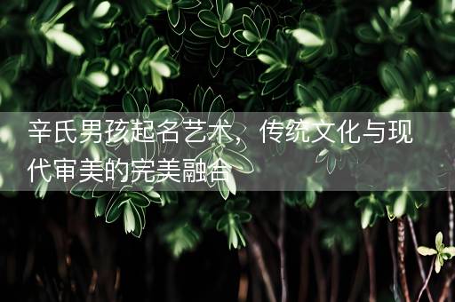 辛氏男孩起名艺术，传统文化与现代审美的完美融合